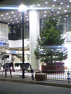 f0028125_0541332.jpg
