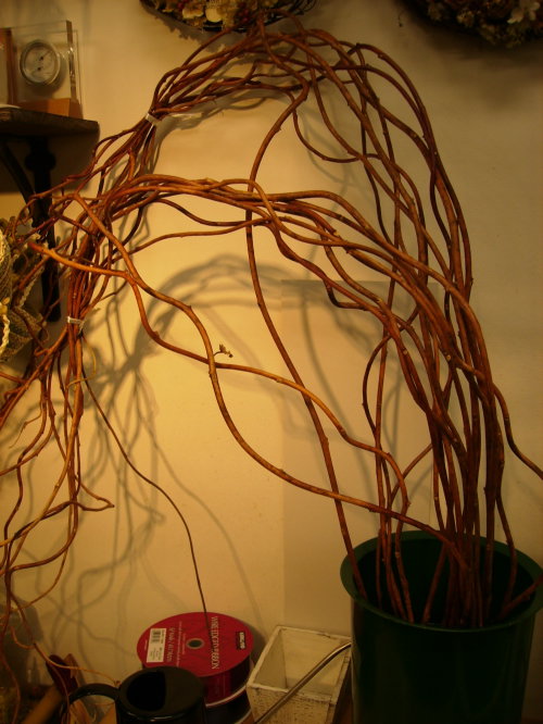 c0103830_206461.jpg