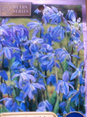 b0080033_15105262.gif