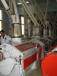 c0077533_992315.jpg