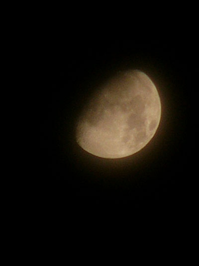 a0008934_221329100.jpg