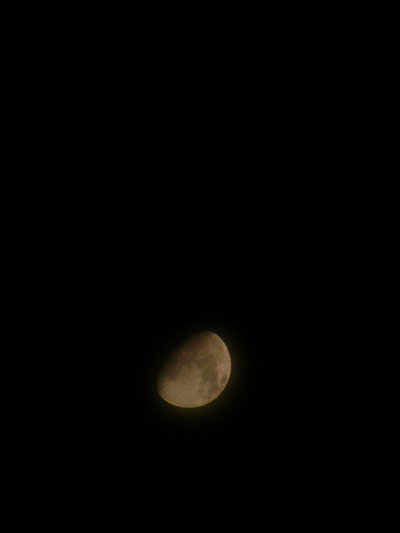 a0008934_22143378.jpg