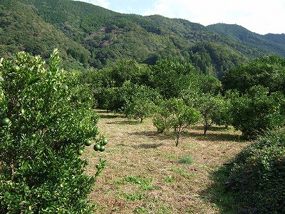 c0038334_0145994.jpg