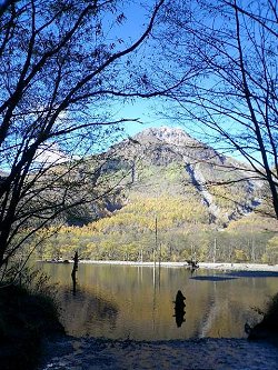 c0025938_1116201.jpg