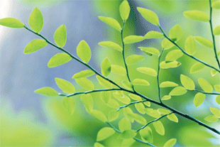 e0013640_5291043.gif