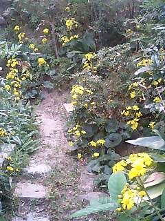 f0071840_12353229.jpg