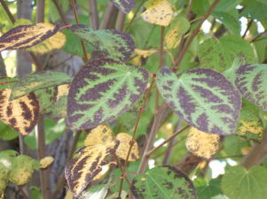 c0023545_2321027.jpg