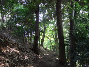 c0023545_2325765.jpg