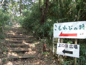 c0023545_233718.jpg