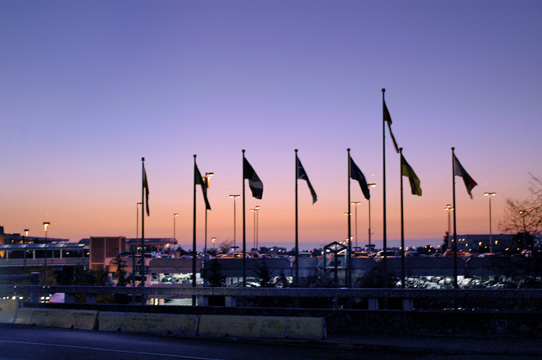 d0008146_2594637.jpg