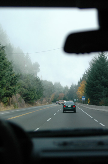d0008146_3104932.jpg