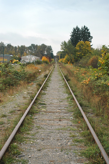 d0008146_322432.jpg