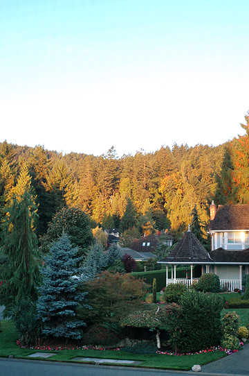 d0008146_3233181.jpg