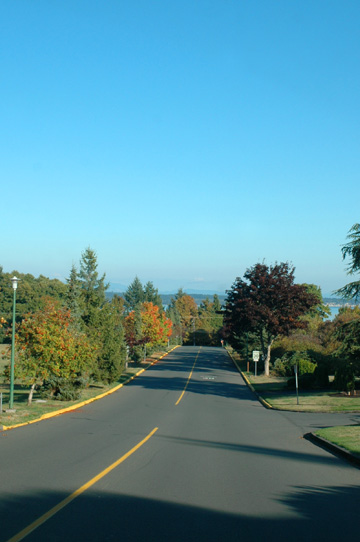 d0008146_382461.jpg