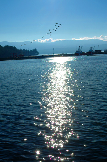d0008146_392723.jpg