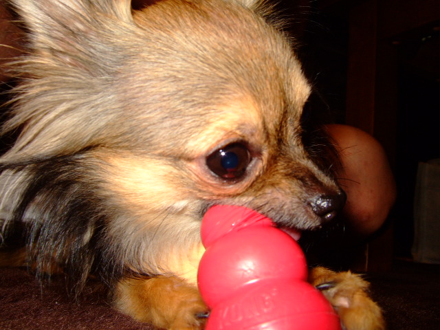 e0088654_11285016.jpg