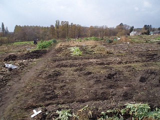 e0004756_2102949.jpg