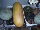 e0004756_2183092.jpg