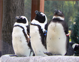 c0103558_2101163.jpg