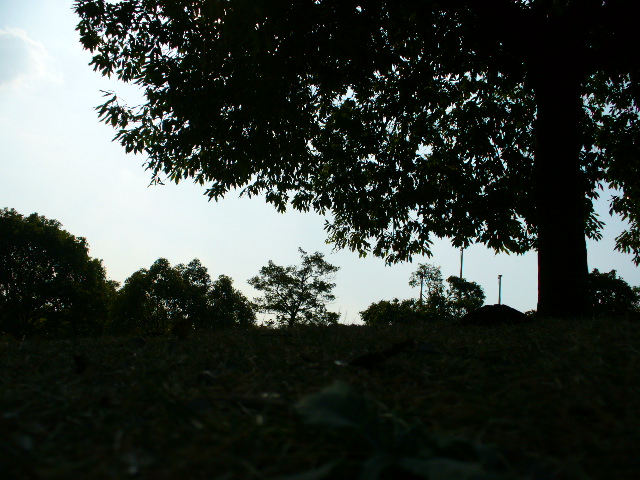 f0074659_0141247.jpg