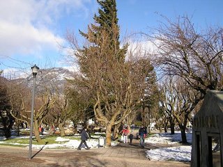 c0103368_218466.jpg