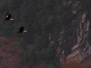 c0103368_2254625.jpg