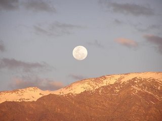 c0103368_301966.jpg