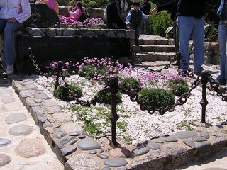 c0103368_3263918.jpg