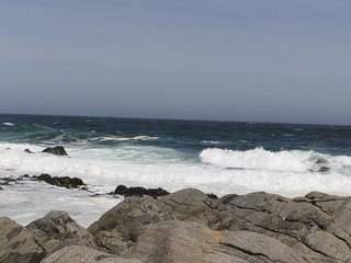 c0103368_327066.jpg