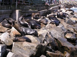 c0103368_3295430.jpg