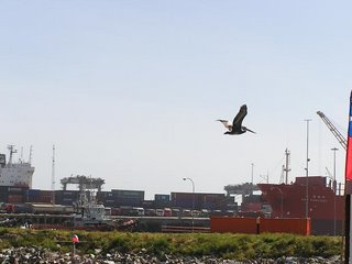 c0103368_3304288.jpg
