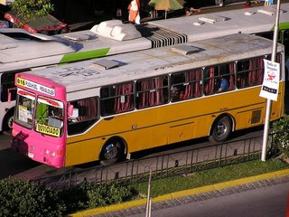 c0103368_340543.jpg