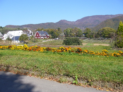 a0045872_22481588.jpg