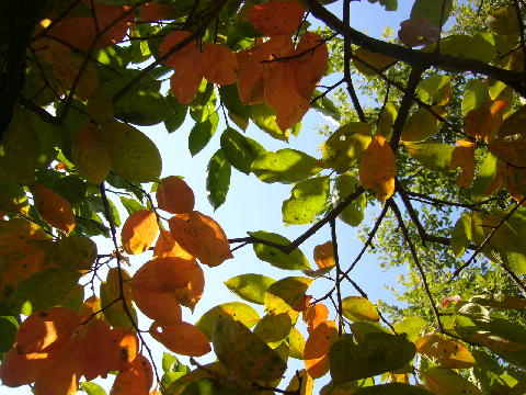 f0073974_328434.jpg