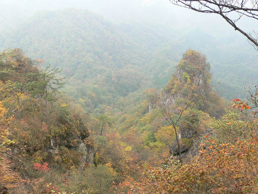 f0054075_11123559.jpg