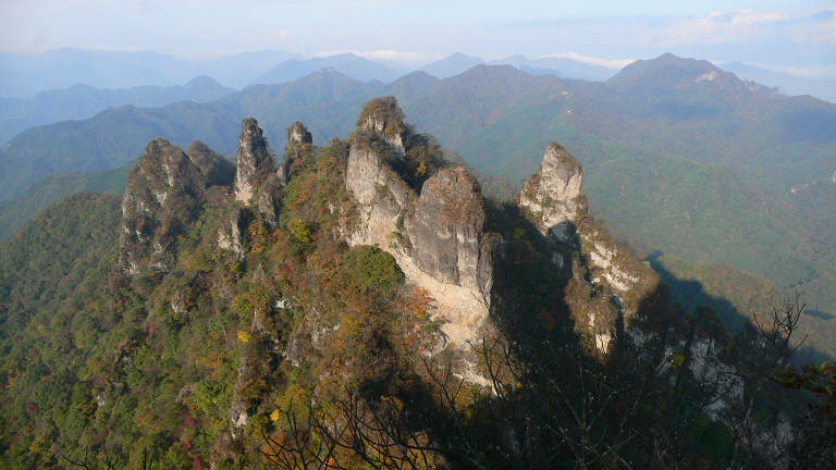 f0054075_11594639.jpg