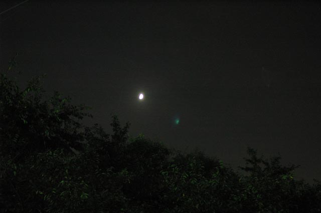 b0102780_732345.jpg