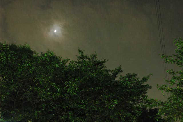 b0102780_7324458.jpg