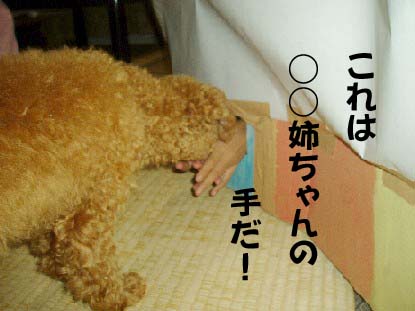 f0061283_1650383.jpg