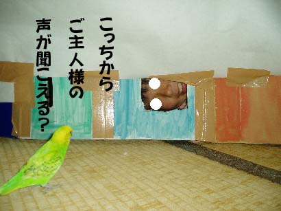 f0061283_16521610.jpg