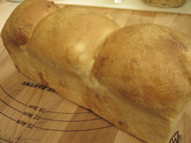 a0052486_1425129.jpg
