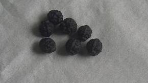 a0042798_559629.jpg