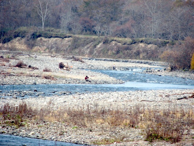 f0020302_12215669.jpg