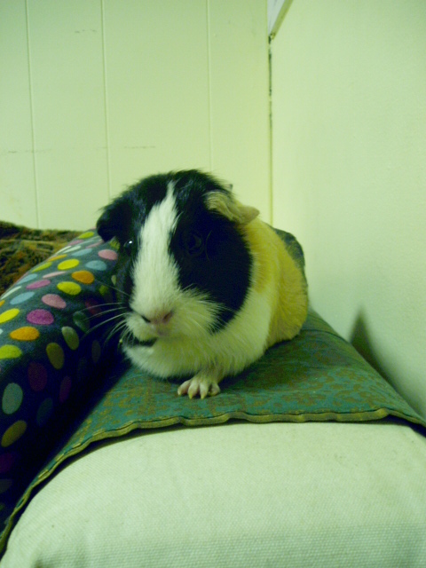 c0037103_1442887.jpg
