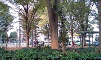 c0004211_23572459.jpg