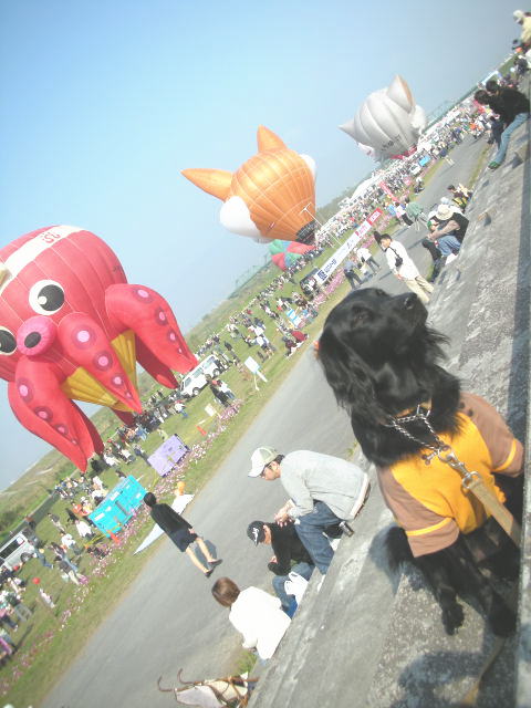 c0017311_15222233.jpg