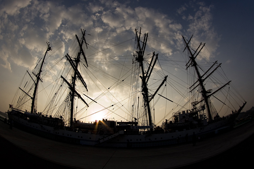 c0024719_17504858.jpg