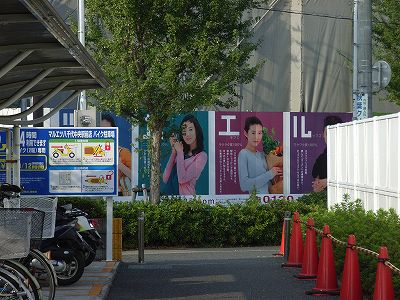 d0070920_1163271.jpg