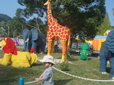 d0041227_254430.jpg