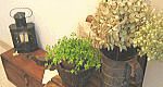 a0091034_23411473.gif